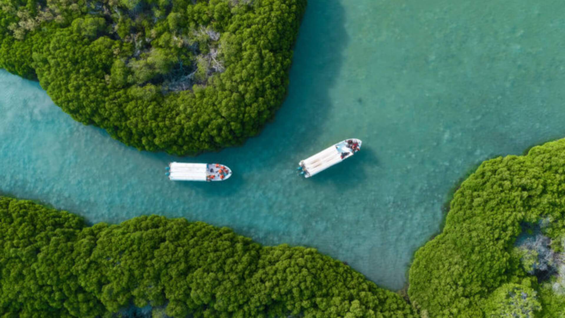 Farasan Islands