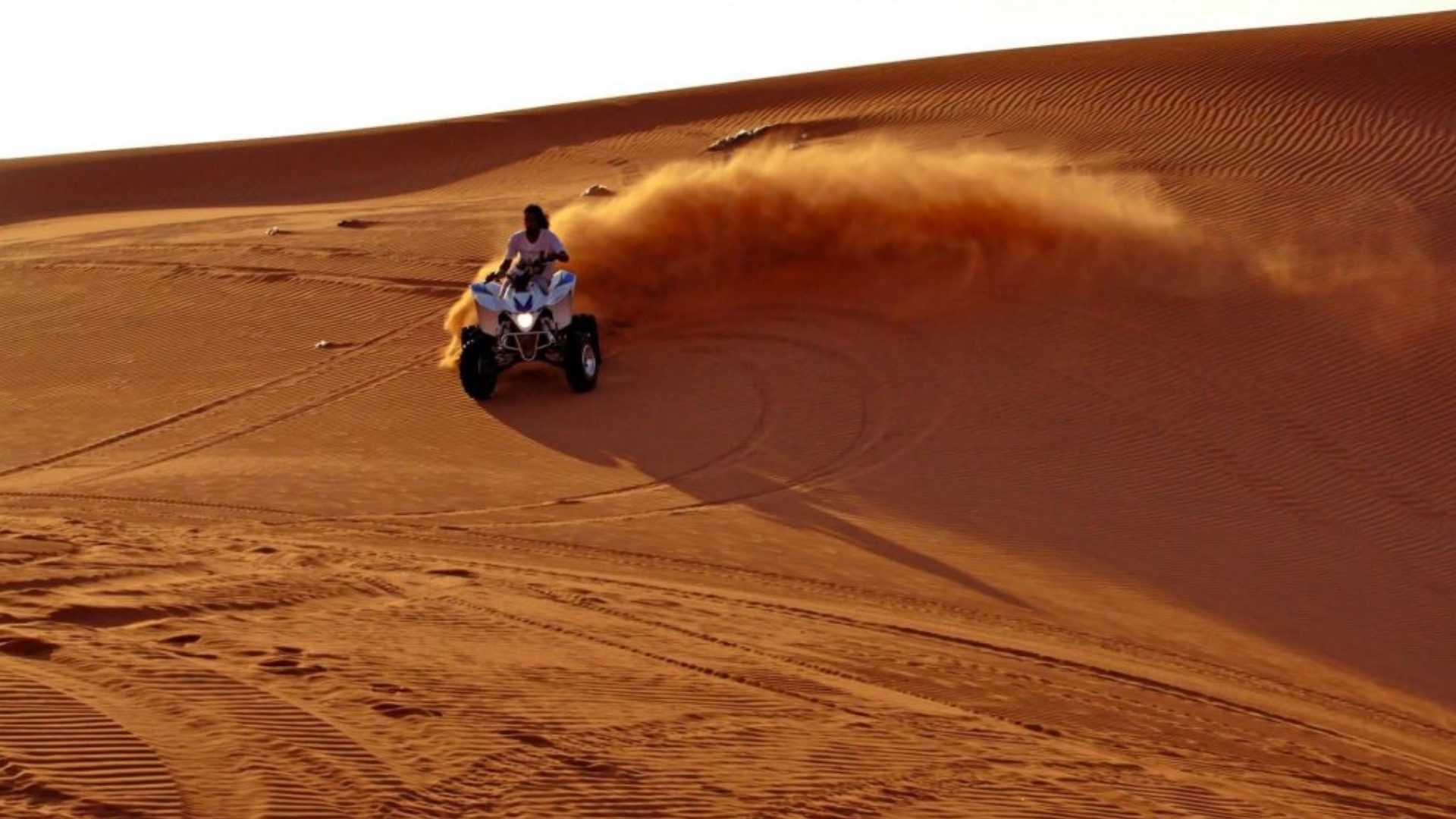 Desert Safari in Saudi Arabia